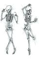 The Skeleton Dakimakura of Dakimakura Hugging Body Pillow Cover