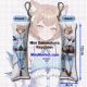 Re:Zero Felix Argyle Mini Dakimakura Keychain Phone Strap