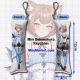 Re:Zero Felix Argyle Mini Dakimakura Keychain Phone Strap