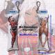 Xenoblade Chronicles X Elma Mini Dakimakura Keychain Phone Strap