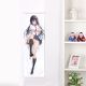 Please Put Them On, Takamine-san Takamine Takane Life-Size Fabric Wall Scroll