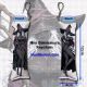 Elden Ring Nightreign Recluse Mini Dakimakura Keychain Phone Strap