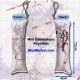 Azur Lane Pearl Mini Dakimakura Keychain Phone Strap
