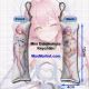 Wuthering Waves Aemeath Mini Dakimakura Keychain Phone Strap