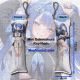 Goddess of Victory: Nikke Arcana Mini Dakimakura Keychain Phone Strap