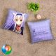 Akashic Records of Bastard Magic Instructor Sistine Fibel Throw Pillow Cover