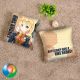 Battleship Girl HMS Rodney Throw Pillow Cover