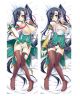 Koihime Musou Dakimakura Hugging Body Pillow Cover