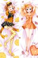 Bladedance of Elementalers Dakimakura Hugging Pillow Cover