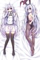 Seirei Tsukai no Kenbu Dakimakura Body Pillow Cover