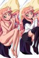 The familiar of zero Dakimakura Hugging Body Pillow Cover