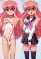The familiar of zero Dakimakura Hugging Body Pillow Cover