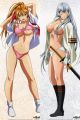 Ikki Tousen Dakimakura Hugging Body Pillow Cover