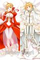 Fate Grand Order Dakimakura Hugging Pillow Cover