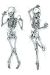 The Skeleton Dakimakura of Dakimakura Hugging Body Pillow Cover A0066