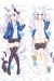 Monster Girl Sexy Fox Dakimakura Hugging Pillow Cover A0229A
