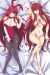 High School DxD Hero Rias Dakimakura Hugging Pillow Cover A0310