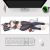 Zenless Zone Zero Grace Howard Gaming Mouse Pad Desk Pad Playmat A0688MP