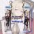 Zenless Zone Zero Evelyn Chevalier Mini Dakimakura Keychain Phone Strap A0729KCA