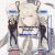 Zenless Zone Zero Evelyn Chevalier Mini Dakimakura Keychain Phone Strap A0740KCA