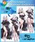 Re:Zero Echidna Undressable Dakimakura Hugging Body Pillow Cover A0743U