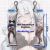 The Shy Snow Woman And The Cursed Ring Yukino Mifuyu Mini Dakimakura Keychain Phone Strap A0765KCA