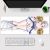 Azur Lane Reno Gaming Mouse Pad Desk Pad Playmat A0875MP