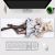 Arknights Endfield Perlica Gaming Mouse Pad Desk Pad Playmat A0882MP