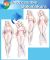 Walkure Romanze Celia Cumani Aintree Undressable Dakimakura Hugging Body Pillow Cover A0892U