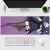 Solo Max-Level Newbie Alice Von Ataraxia Gaming Mouse Pad Desk Pad Playmat A0901MP