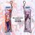 Guilty Crown Inori Yuzuriha Mini Dakimakura Keychain Phone Strap CGJ028