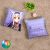 Akashic Records of Bastard Magic Instructor Sistine Fibel Throw Pillow Cover CX0040