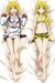 Infinite Stratos Dakimakura Hugging Body Pillow Cover H1478