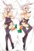 League of Legends Bunny Riven Dakimakura Hugging Pillow Cover H1938