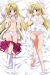 High School DXD Dakimakura Hugging Pillow Cover H2261