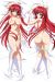 High School DXD Dakimakura Hugging Pillow Cover H2311