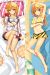 Infinite Stratos Dakimakura Hugging Body Pillow Cover H2395
