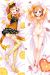 Bladedance of Elementalers Dakimakura Hugging Pillow Cover H2675
