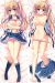 D.S. -Dal Segno- Dakimakura Hugging Pillow Cover H3442