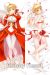 Fate Grand Order Dakimakura Hugging Pillow Cover H3627D