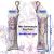 Blue Archive Shirasu Azusa Swimsuit Ver. Mini Dakimakura Keychain Phone Strap H4266KCB