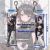 Zenless Zone Zero Ellen Joe Mini Dakimakura Keychain Phone Strap H4272KCB