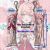 Honkai: Star Rail Hyacine Mini Dakimakura Keychain Phone Strap H4294KCA