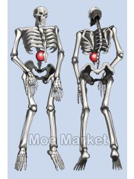 Overlord Momonga Dakimakura Hugging Pillow Cover Overlord Momonga Dakimakura Hugging Pillow Cover
