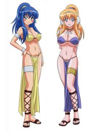 The familiar of zero Dakimakura Hugging Body Pillow Cover The familiar of zero Dakimakura Hugging Body Pillow Cover