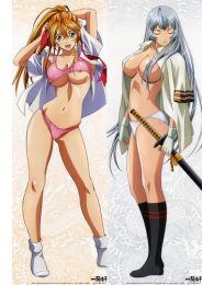 Ikki Tousen Dakimakura Hugging Body Pillow Cover Ikki Tousen Dakimakura Hugging Body Pillow Cover
